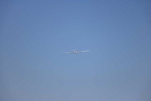 IMG 4530