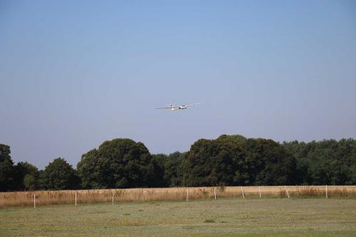 IMG 4551