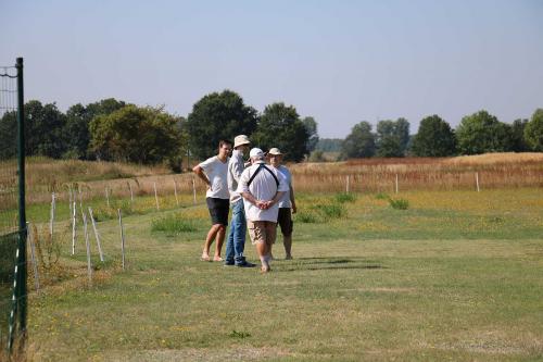 IMG 4559