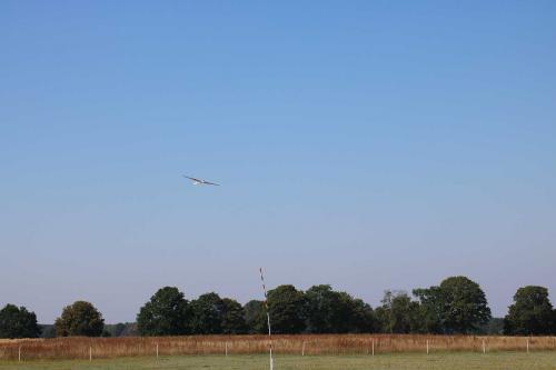 IMG 4581