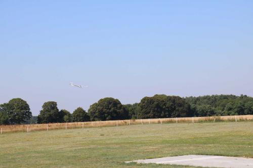 IMG 4587
