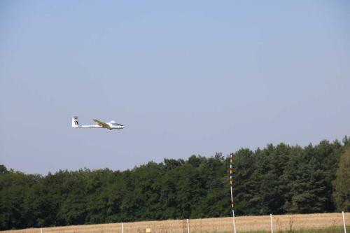 IMG 4621