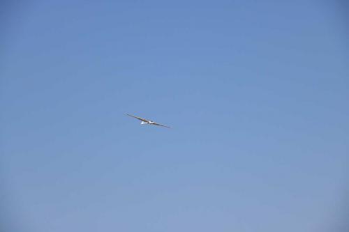 IMG 4629
