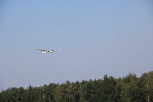 IMG 4632