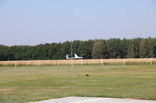 IMG 4637