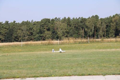 IMG 4642