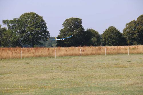IMG 4665
